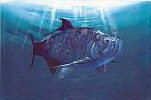 Tarpon
